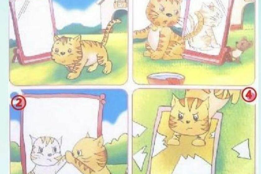 小猫照镜子看图写话.jpg 小猫照镜子看图写话.jpg