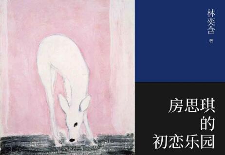 《房思琪的初恋乐园》.jpg 《房思琪的初恋乐园》.jpg