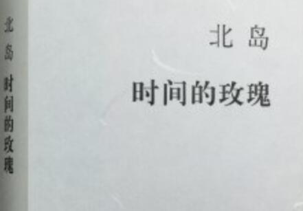 《时间的玫瑰》读后感200字