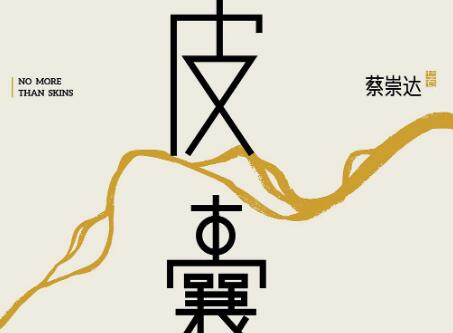 《皮囊》读后感400字