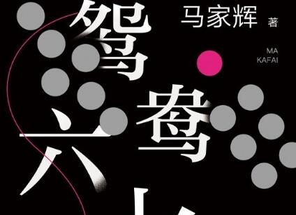 《鸳鸯六七四》读后感800字