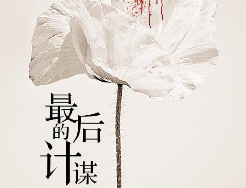 《最后的计谋》读后感600字