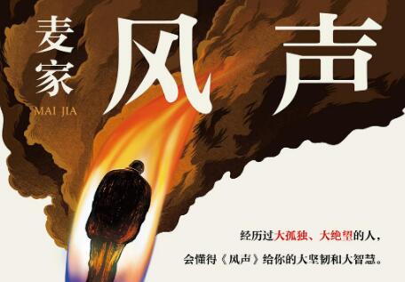 《风声》读后感500字