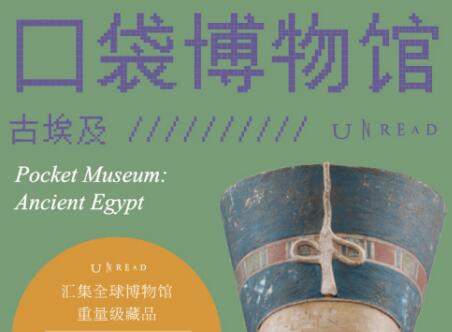 《口袋博物馆》读后感800字