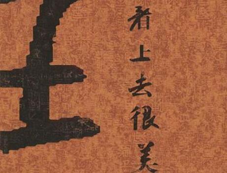 《看上去很美》读后感400字