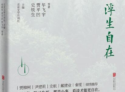 《浮生自在》读后感1000字