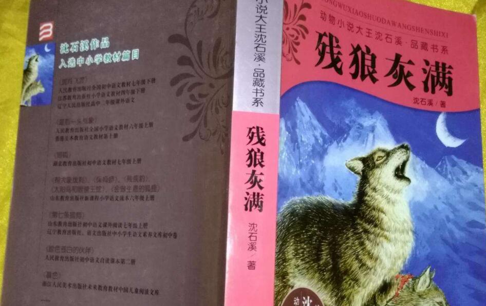《兵猴》读后感600字