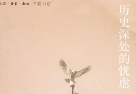 《历史深处的忧虑》读后感600字