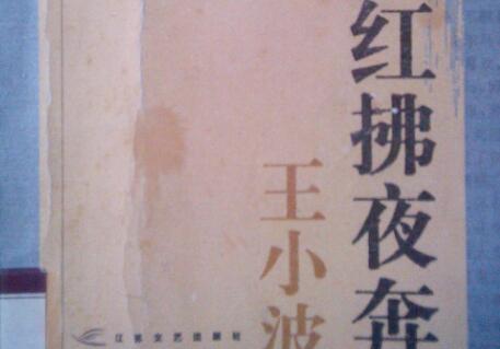 《红拂夜奔》读后感600字