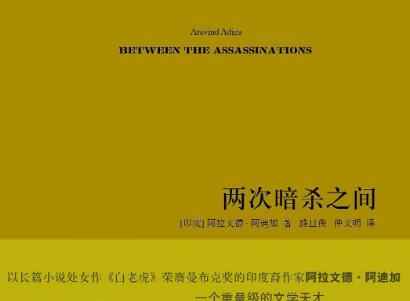 《两次暗杀之间》读后感600字