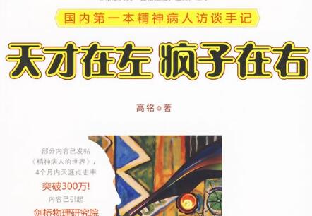 《天才在左疯子在右》读后感200字