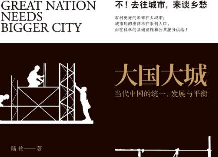 《大国大城》读后感100字