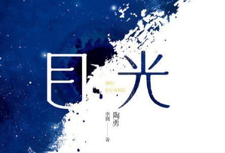 《目光》读后感800字