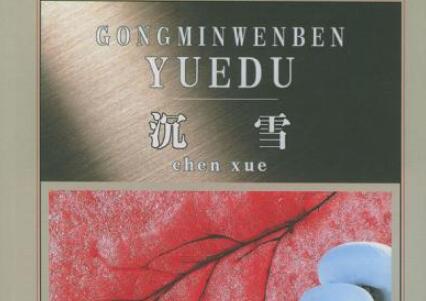 《沉雪》读后感500字