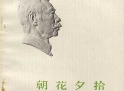 《朝花夕拾》读后感300字