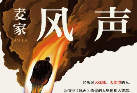 《风声》读后感800字