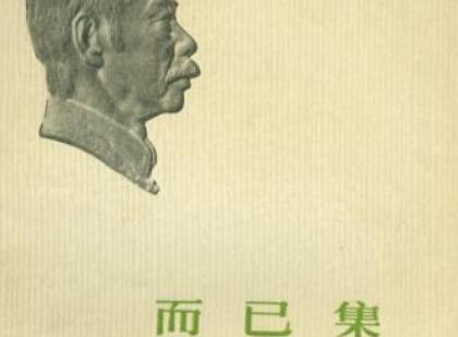 《而已集》读后感500字