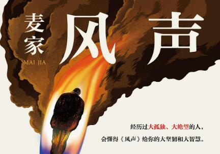 《风声》读后感500字