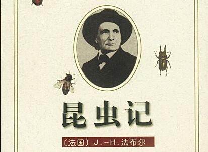 《昆虫记》.jpg 《昆虫记》.jpg