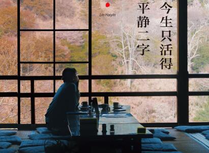 《今生只活得平静二字》读后感600字