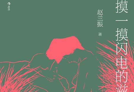 《摸一摸闪电的滋味》读后感600字