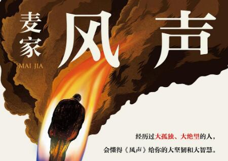 《风声》读后感800字