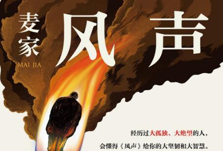 《风声》读后感600字