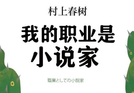 《我的职业是小说家》读后感600字