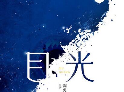 《目光》读后感500字