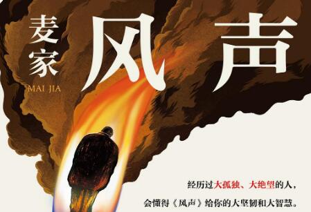 《风声》读后感600字