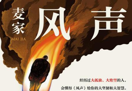 《风声》读后感600字