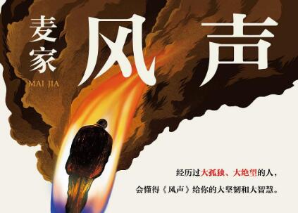 《风声》读后感800字