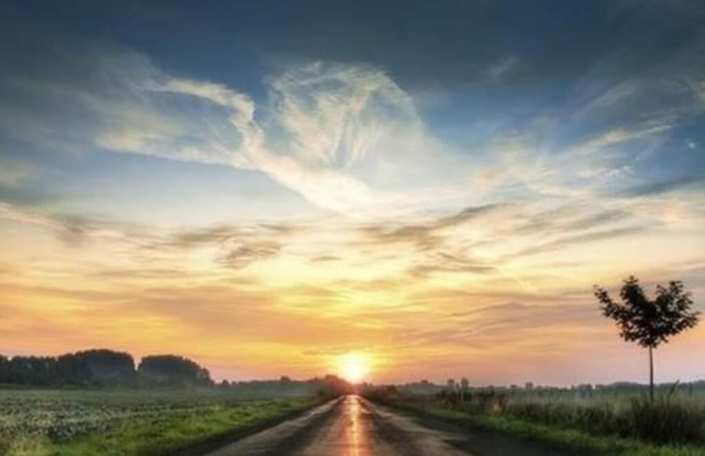 温暖的牵引作文600字