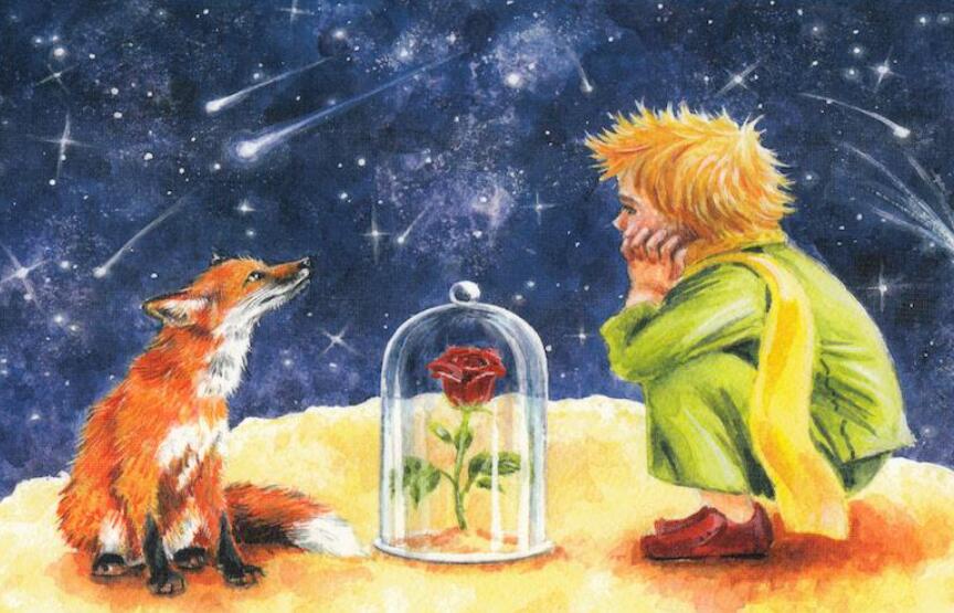 国王与玫瑰花童话作文300字