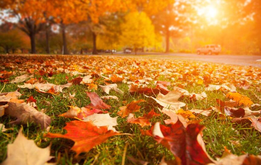 告别秋天作文500字