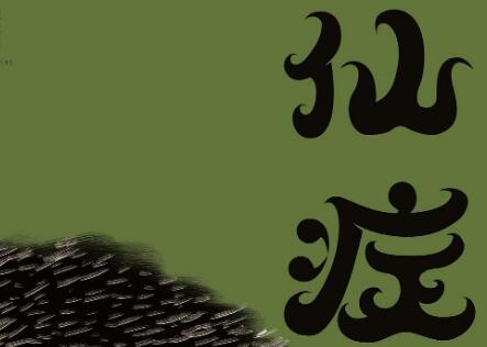 《仙症》读后感1000字
