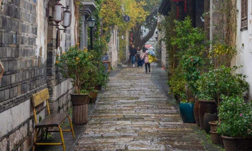 秋天的小巷作文400字