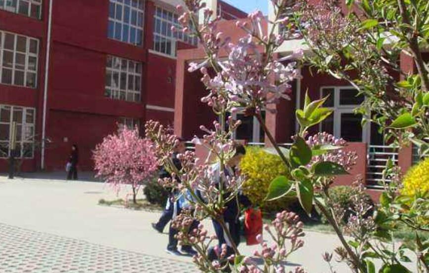 开满丁香的校园作文600字