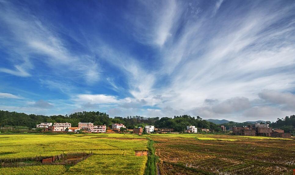 我的家乡作文400字