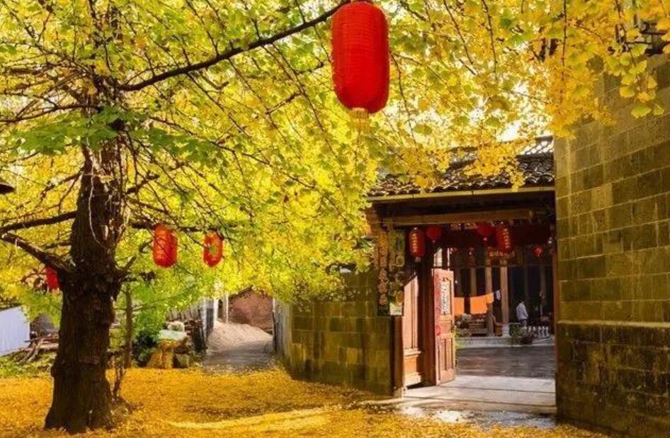 秋天的小院作文400字