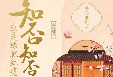 《知否知否应是绿肥红瘦》读后感300字