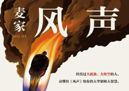 《风声》读后感500字