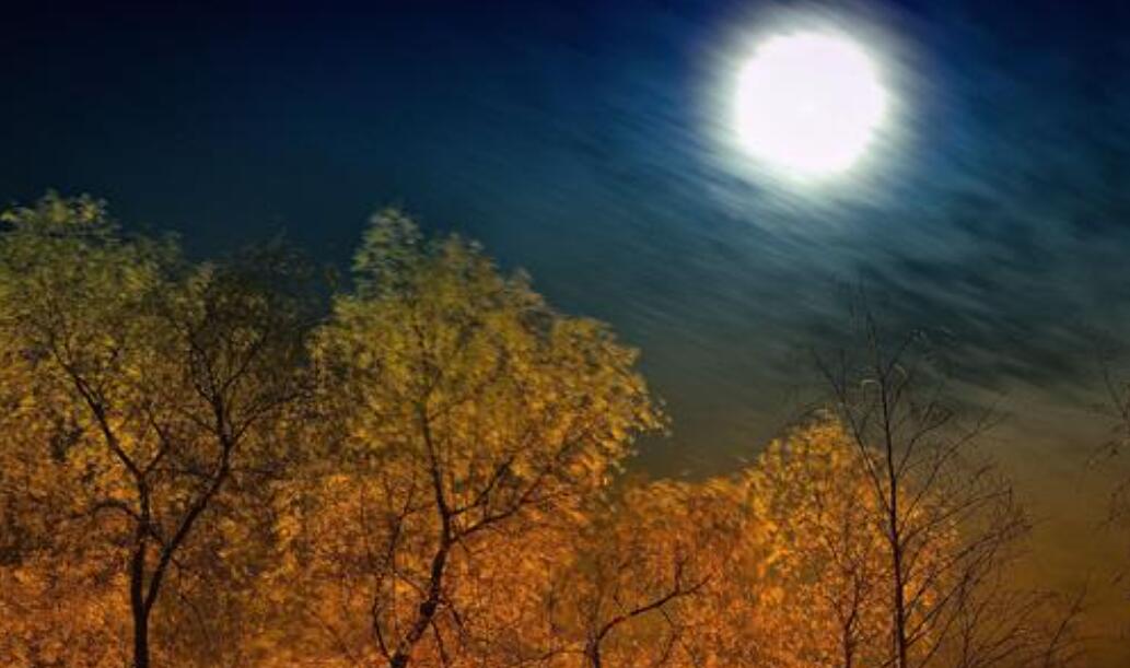 三年级描写秋天的作文300字