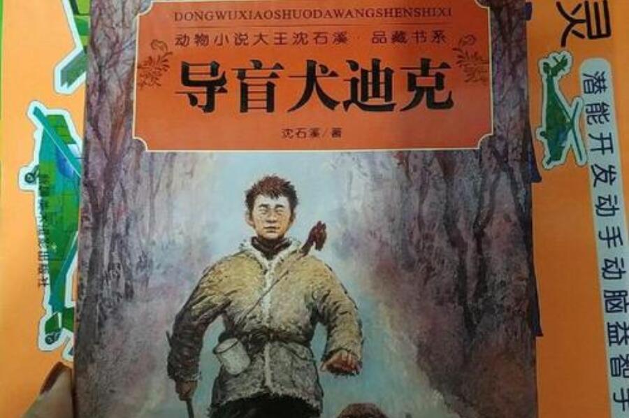 推荐一本书作文1000字