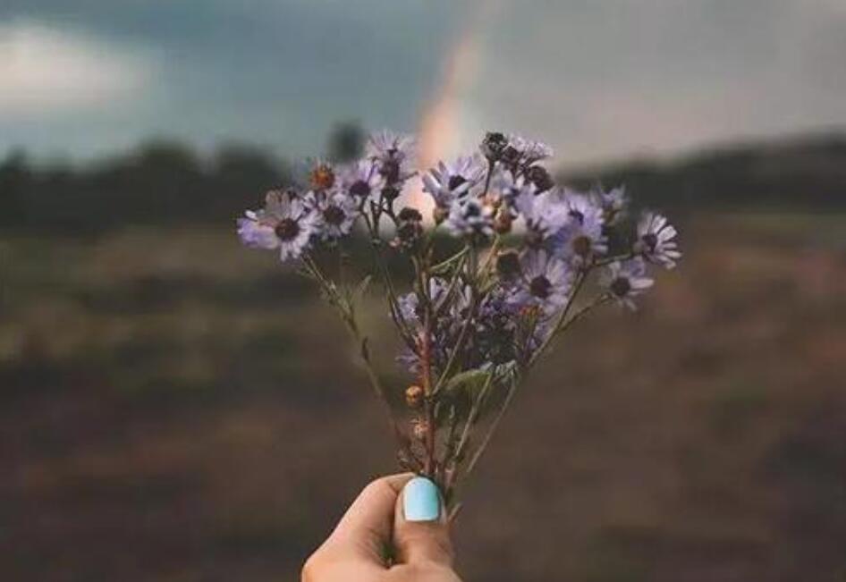 我的小传作文500字初二