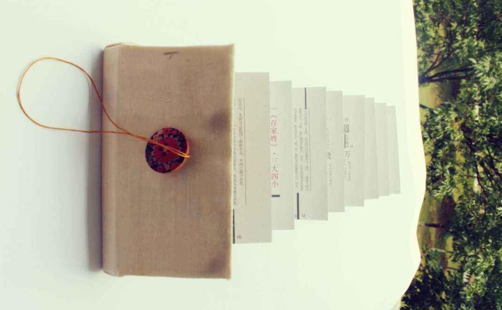 书中的韵味作文800字