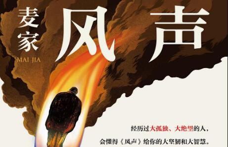 《风声》读后感600字