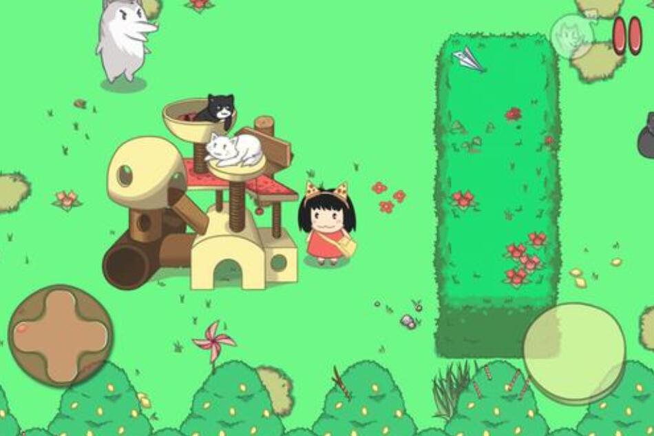 森林历险记作文800字