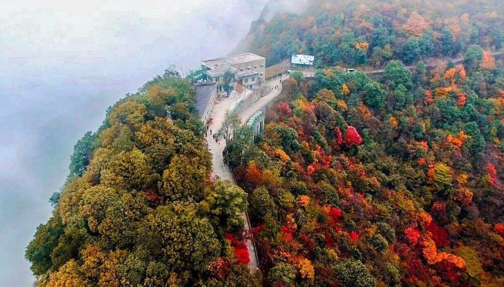 九皇山游记作文800字