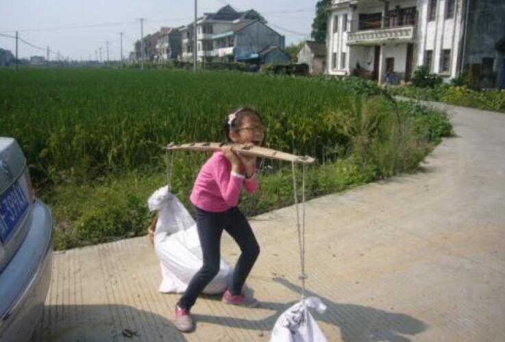 回乡下作文800字